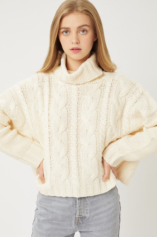 Knit Turtleneck Sweater