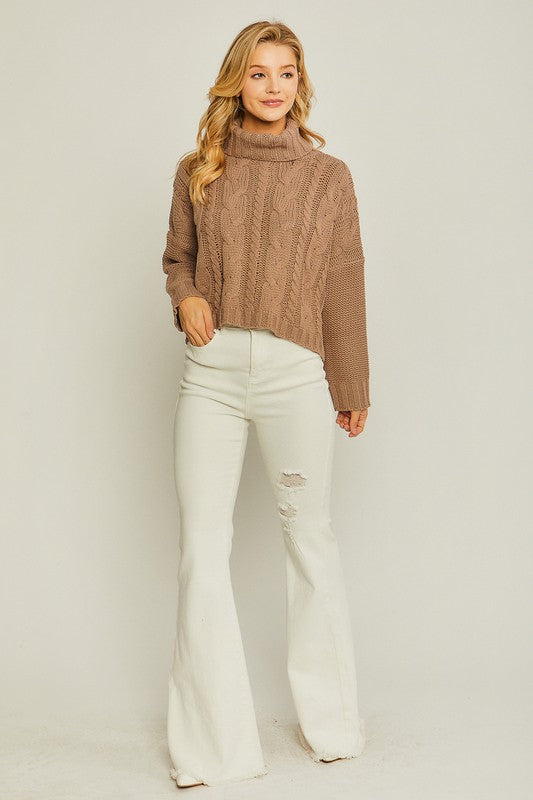 Knit Turtleneck Sweater