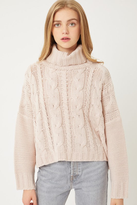 Knit Turtleneck Sweater