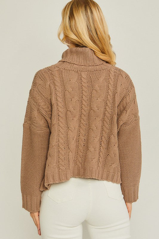 Knit Turtleneck Sweater