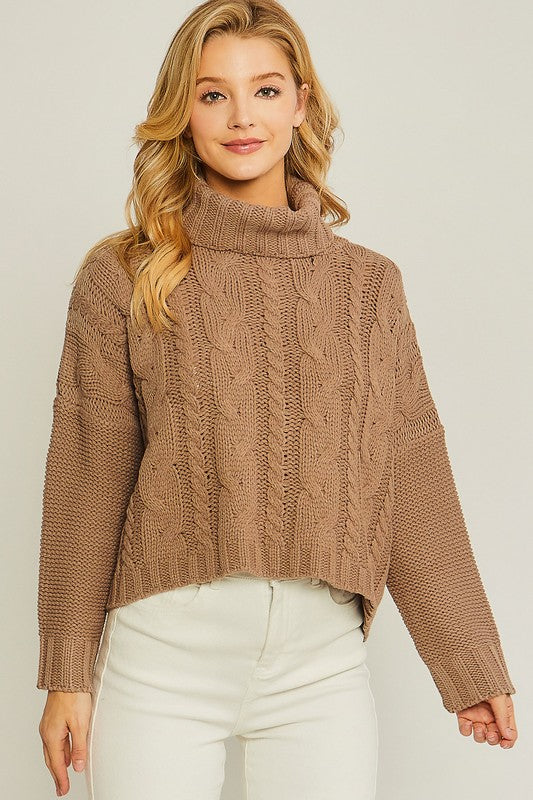 Knit Turtleneck Sweater